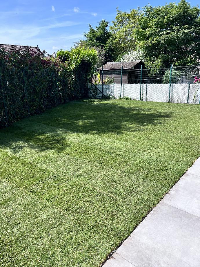 Jardin après Jardin après